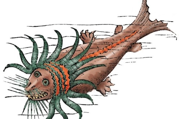 Kraken смылка