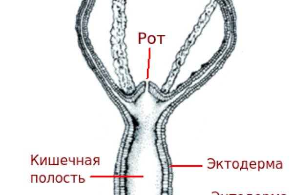 Кракен как войти