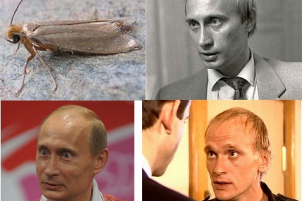 Где купить наркотиков