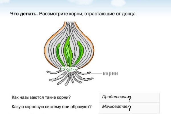 Переход на кракен